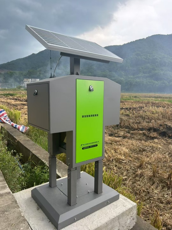 1754280261522711.jpg 麥田蚜蟲布置照片_副本.jpg