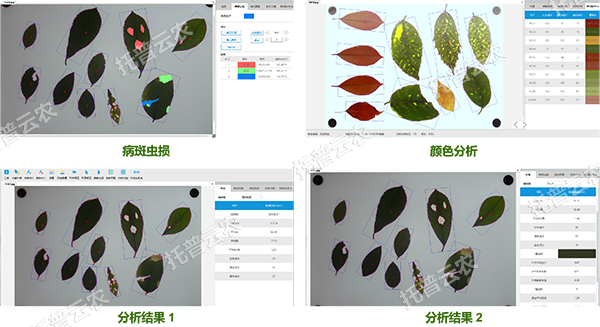 1755566511174832.png 圖片2.png