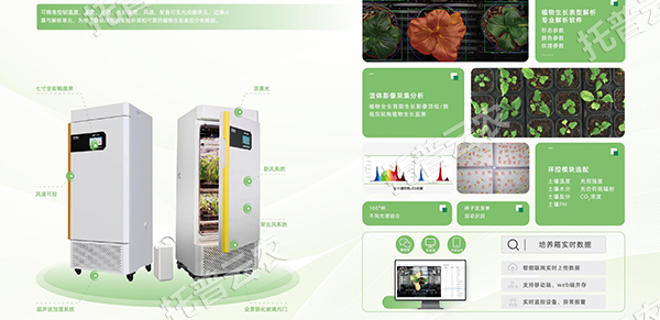 1755567149258551.png 圖片5.png