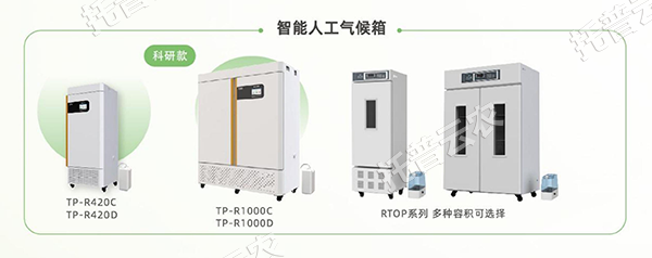 1755567162858773.png 圖片6.png