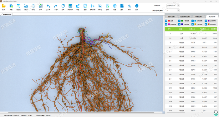 1757053232699823.png 花生-拓撲分析.png