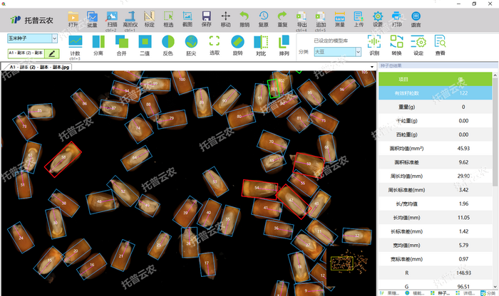 1757405903359739.png 高拍儀玉米籽粒分析.png