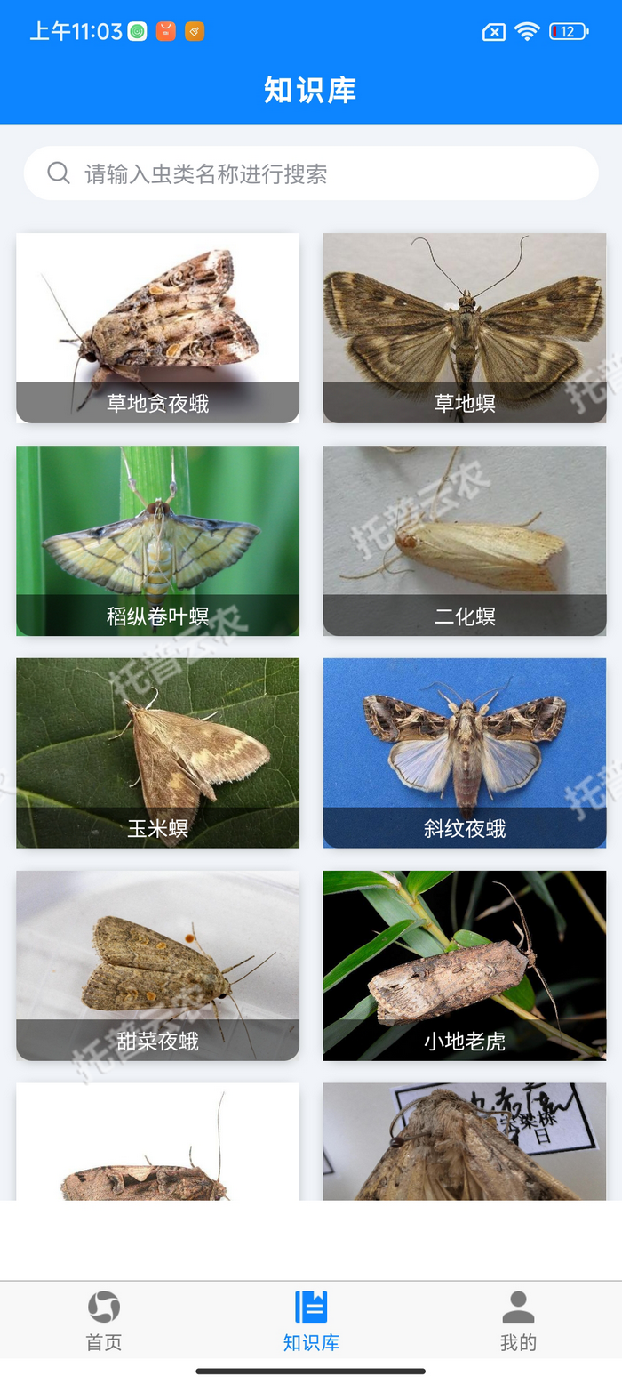 1757557043242113.png 5、害蟲知識庫.png